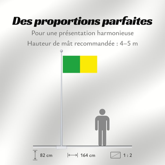 Proportions du drapeau : Counties of Donegal, Leitrim and Meath	Comtés de Donegal, Leitrim et Meath	Condados de Donegal, Leitrim y Meath	Grafschaften Donegal, Leitrim und Meath	Contee di Donegal, Leitrim e Meath