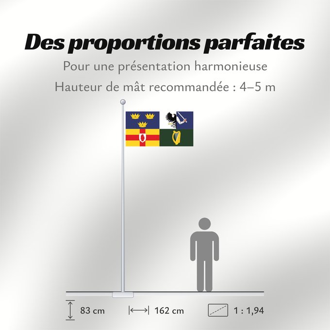 Proportions du drapeau : Four Provinces	Four Provinces Flag	Drapeau des Quatre Provinces	Bandera de las Cuatro Provincias	Vierprovinzenflagge	Bandiera delle Quattro Province	Provinces of Ireland