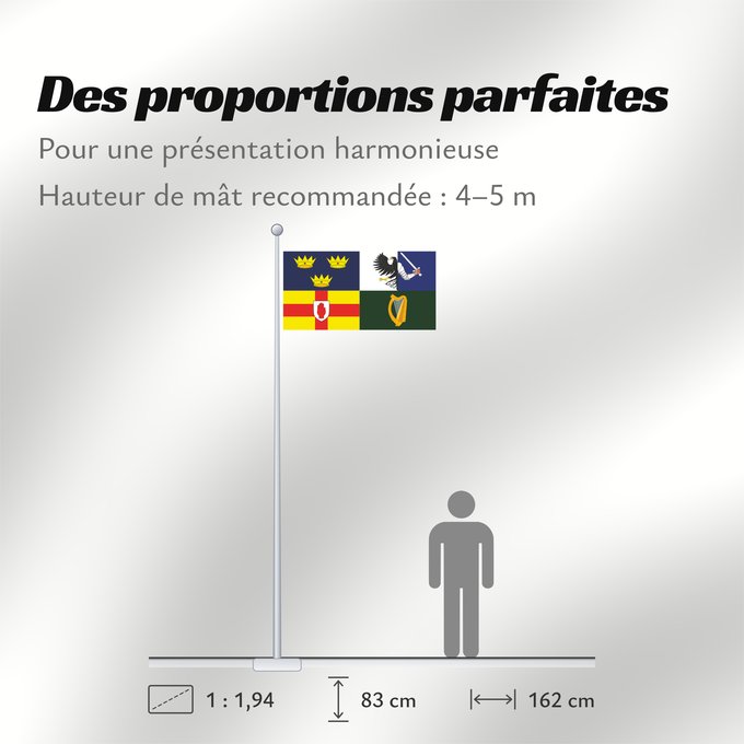 Proportions du drapeau : Four Provinces Ireland
