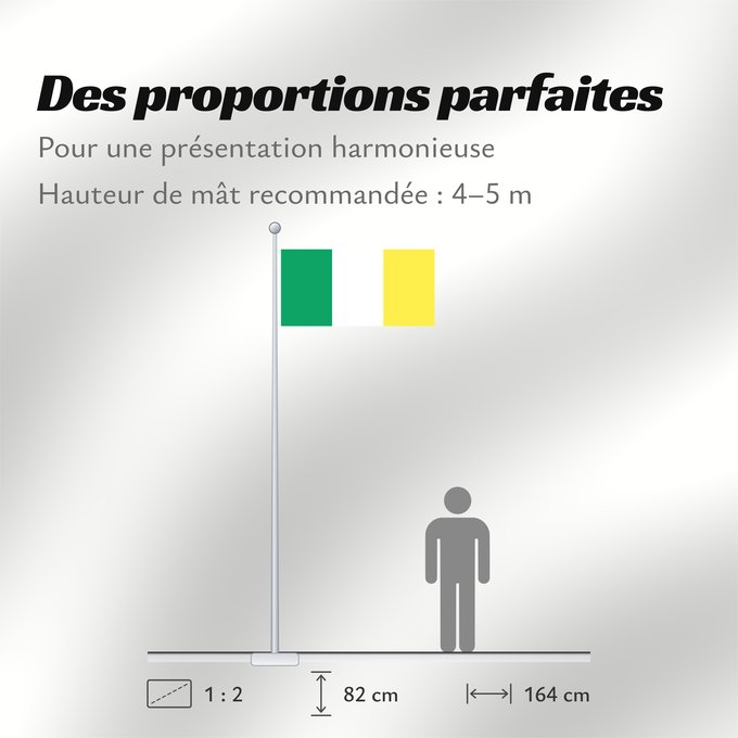 Proportions du drapeau : Ireland  gold	A homemade variant of Irish Tricolour	Irlande (variante dorée)	Irlanda (variante dorada)	Irland (Goldvariante)	Variante della bandiera irlandese