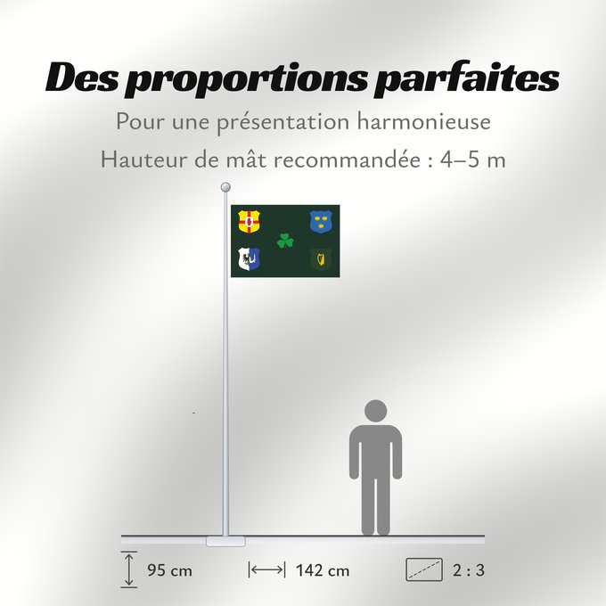 Proportions du drapeau : Ireland Rugby