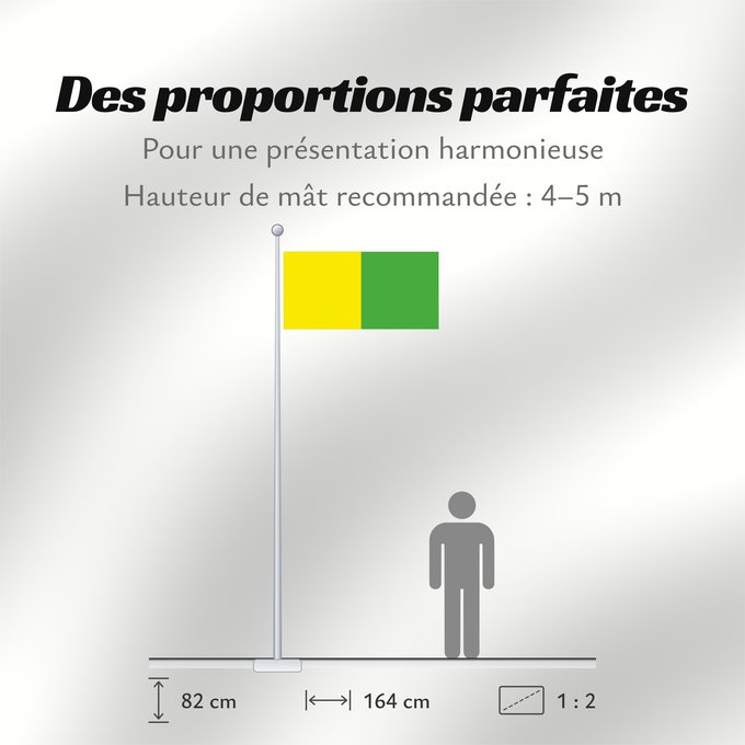 Proportions du drapeau : County Leitrim	Comté de Leitrim	Condado de Leitrim	Contea di Leitrim