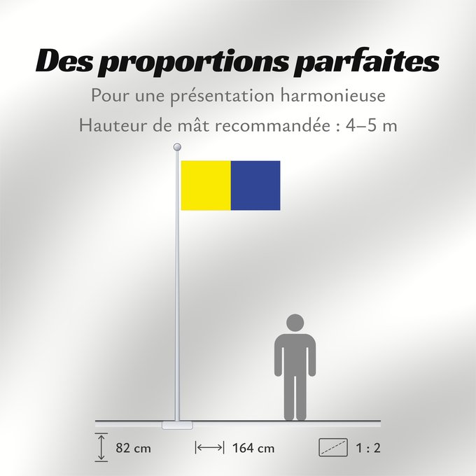 Proportions du drapeau : County Roscommon Comté de Roscommon Condado de Roscommon Contea di Roscommon