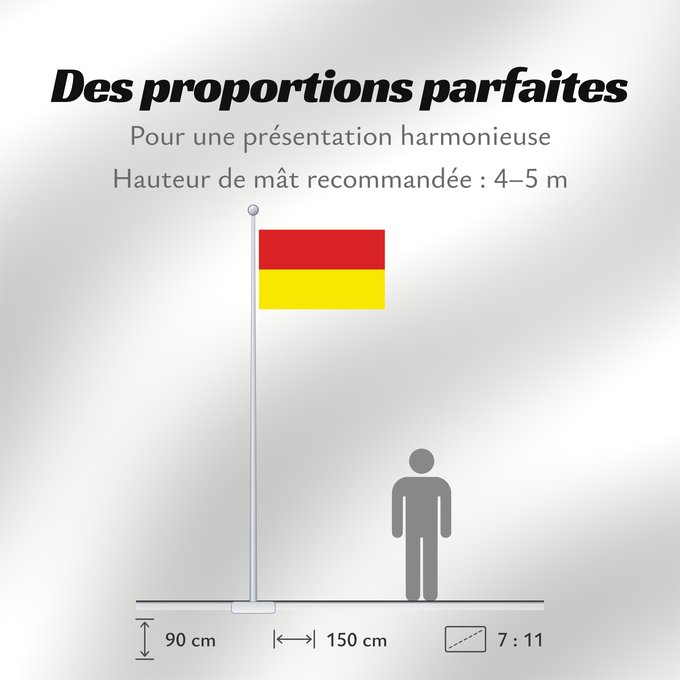 Proportions du drapeau : Bansda	バンスダ藩王国の旗