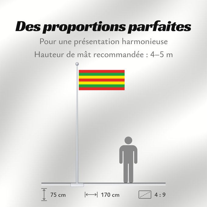 Proportions du drapeau : Patiala