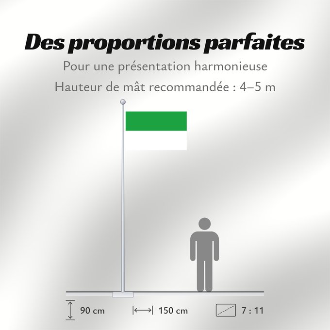 Proportions du drapeau : Tonk