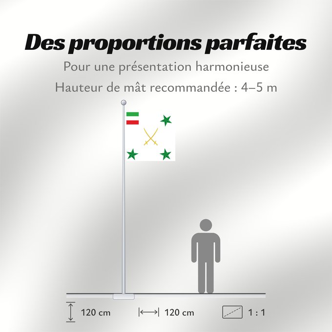 Proportions du drapeau : Persian Army Corps General Général de Corps d'Armée Perse General de Cuerpo de Ejército Persa Persischer Armeekorpsgeneral Generale di Corpo d'Armata Persiano
