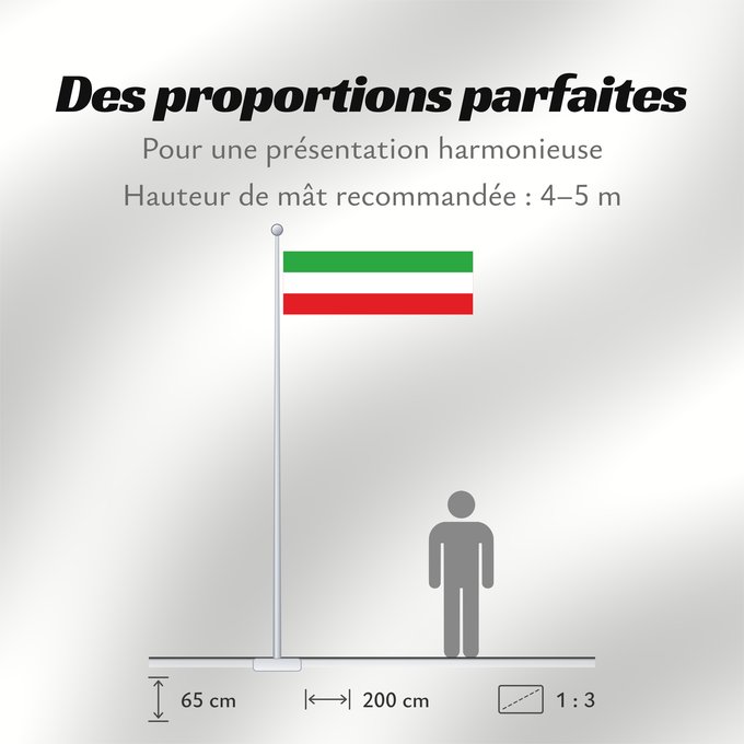 Proportions du drapeau : Iran  1925	En Image Flag of Iran  1964