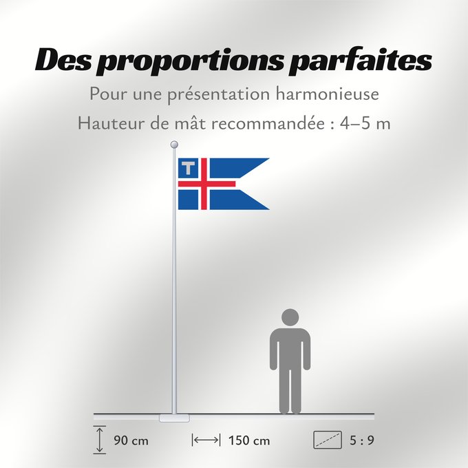Proportions du drapeau : Customs Flag and Ensign of Iceland	Customs flag of Iceland. Ratio 37 18	Servicio Aduanero