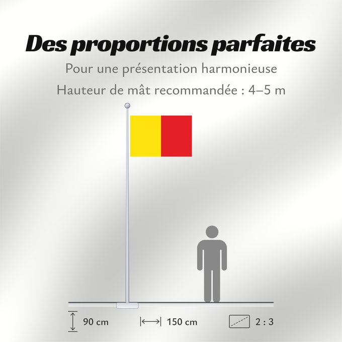 Proportions du drapeau : Naples	Province of Naples	Province de Naples	Provincia de Naples	Provinz Naples	Napoli