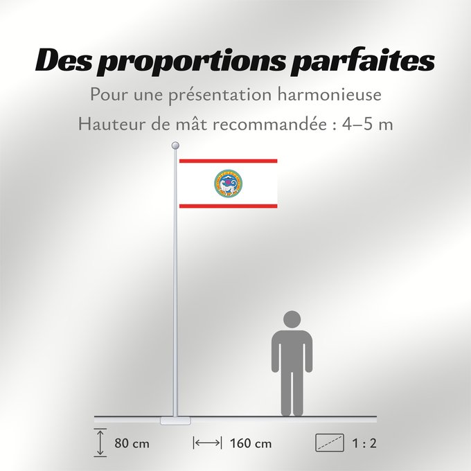 Proportions du drapeau : Almaty	Official flag of Almaty city in the Republic of Kazakhstan