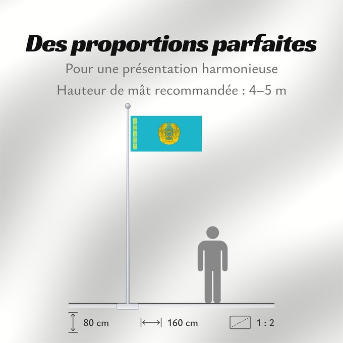 Proportions du drapeau : President of Kazakhstan	Standard of the President of Kazakhstan	Étendard présidentiel du Kazakhstan	Estandarte presidencial de Kazajistán	Standarte des Präsidenten von Kasachstan	Stendardo presidenziale del Kazakistan	Қазақстан президентінің байрағы	Штанд