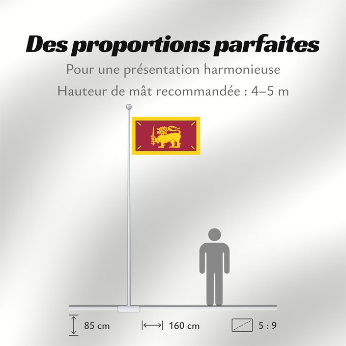 Proportions du drapeau : Ceylon