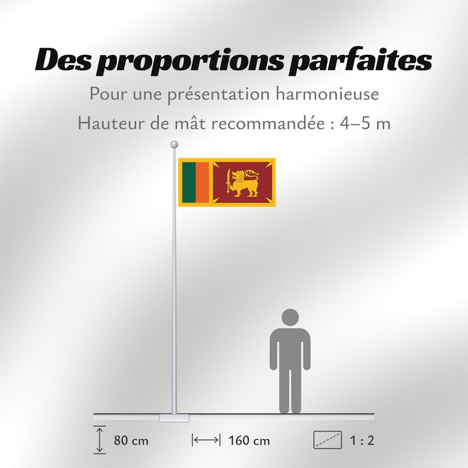 Proportions du drapeau : Ceylon 1951-1972