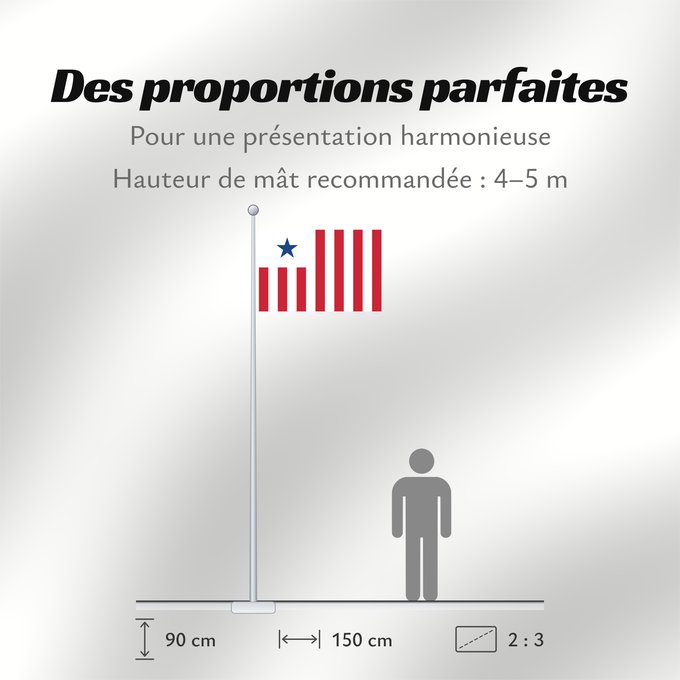 Proportions du drapeau : Liberian Customs	Liberian Customs Service - the flag s dimensions are 2 3. The main field is divided into 13  2 additional stripes compared to the national flag  vertical alternating red and white stripes	Service des douanes libériennes	Servicio de Aduana