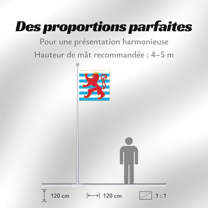 Proportions du drapeau : Army Colours of Luxembourg Obverse
