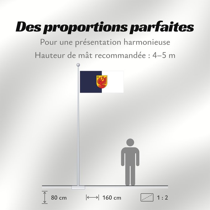 Proportions du drapeau : Dagda