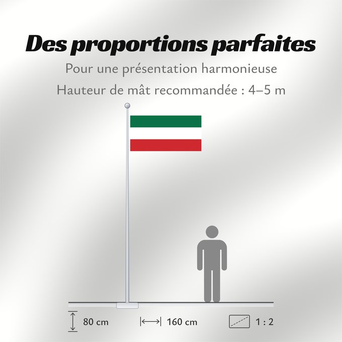 Proportions du drapeau : Lithuania Minor	Petite-Lituanie	Lituania Menor	Kleinlitauen	Lituania Minore	En Lithuania Minor, created in Inkscape by me