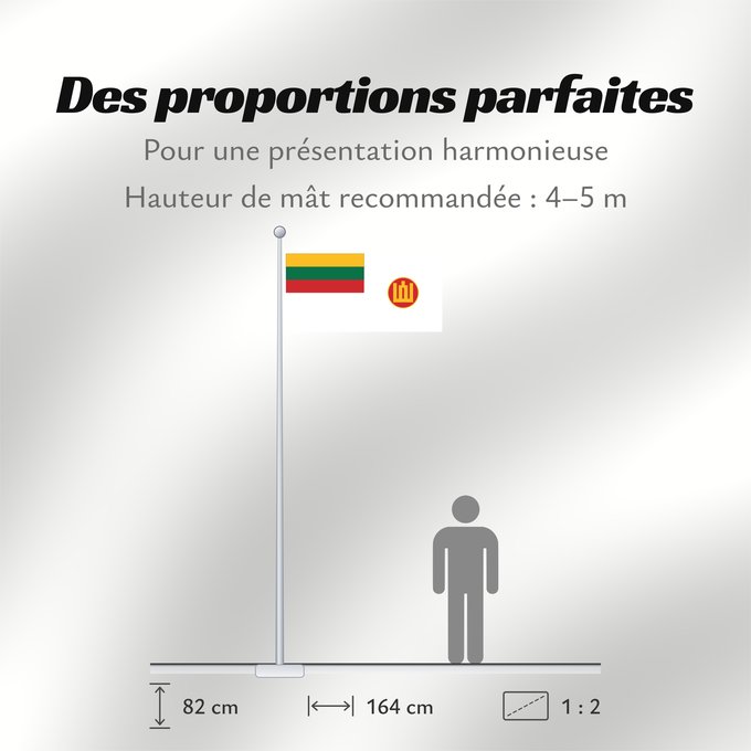 Proportions du drapeau : Lithuanian Minister of Defence s