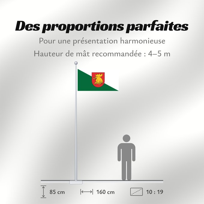 Proportions du drapeau : Madona City of Madona, Latvia Stadt Madona, Lettland Madona, Letònia Madonas pilsētas karogs Madonas pilsētas karoga apraksts Madonas pilsētas karogs ir taisnstūra audums ar platuma un augstuma proporcijas attiecību 2 1. Diagonāle sadala karogu divos trij