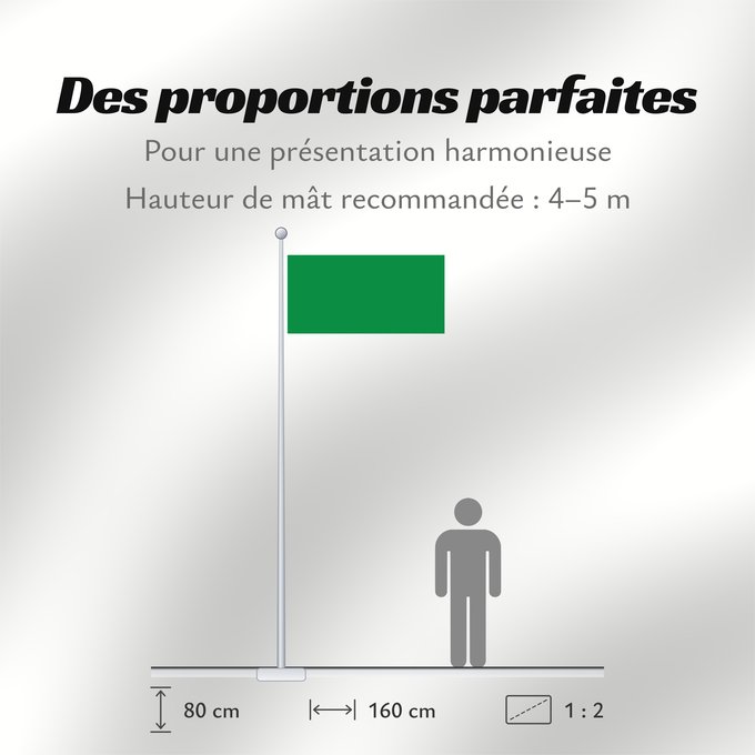 Proportions du drapeau : Libya 1977-2011 The national flag of the Libyan Jamahiriya from 1977 to 2011 La Libye 1977 à 2011 Libia Libyens von 1977 bis 2011 Libië van 1977 tot 2011 Líbia Pl Flaga Libii Libië علم ليبيا Banniel Libia Liibüa lipp דגל לוב リビアの国旗 1977年-2011年 Libyas fl