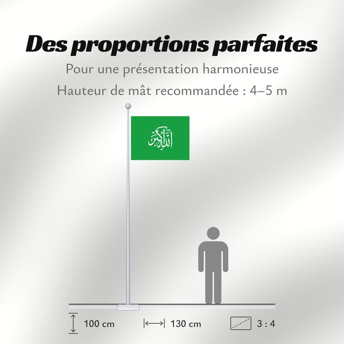 Proportions du drapeau : Libyan Loyalist Resistance	Khadaffi s resistance in Libya