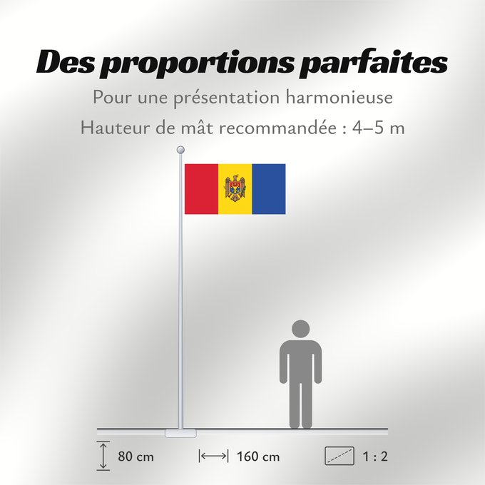 Proportions du drapeau : Moldova  reverse	Moldova (reverse)	Moldavie (revers)	Moldavia (reverso)	Moldau (Revers)	Moldavia (rovescio)	Стягул Републичий Молдова	Republicii Moldova, revers