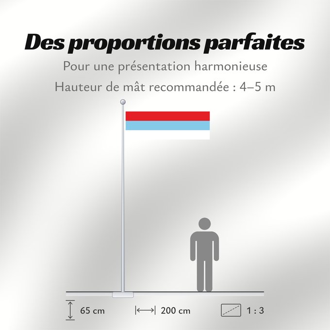 Proportions du drapeau : Montenegro  1993-2004	Montenegro between 1993 and 2004	Crne Gore  1993-2004