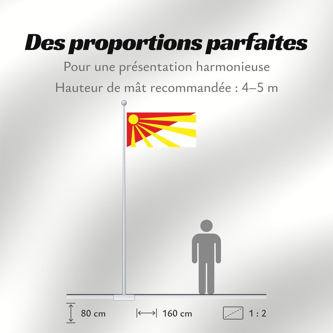 Proportions du drapeau : Čaška Municipality, North Macedonia Čaška Municipality, Macedonia Municipalité de Čaška Municipio de Čaška Gemeinde Čaška Comune di Čaška Знаме на Општина Чашка