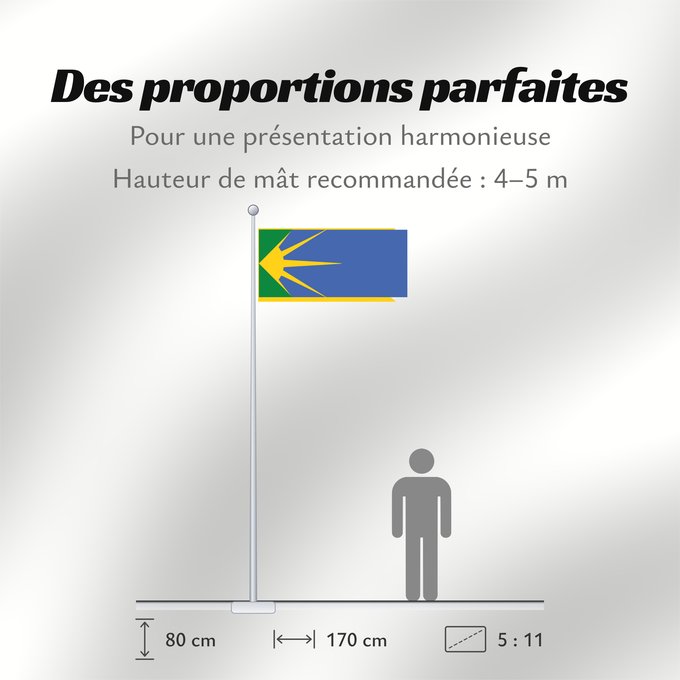 Proportions du drapeau : Bosilovo Municipality Bosilovo Municipality, Macedonia Знаме на Општина Босилово