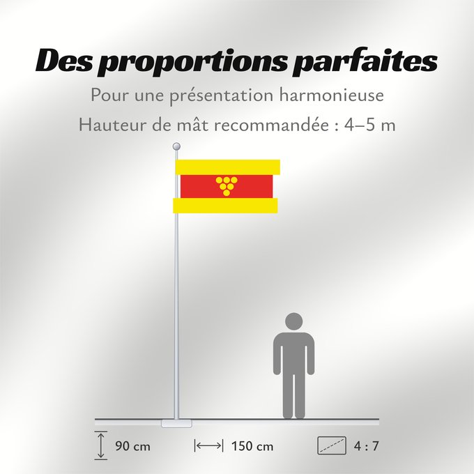 Proportions du drapeau : Negotino Municipality, North Macedonia	Negotino Municipality, Macedonia	Municipalité de Negotino	Municipio de Negotino	Gemeinde Negotino	Comune di Negotino	Знаме на Општина Неготино