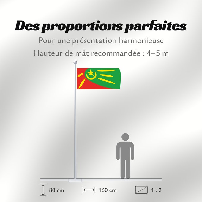 Proportions du drapeau : Plasnica Municipality, North Macedonia	Plasnica Municipality, Macedonia	Municipalité de Plasnica	Municipio de Plasnica	Gemeinde Plasnica	Comune di Plasnica	Знаме на Општина Пласница