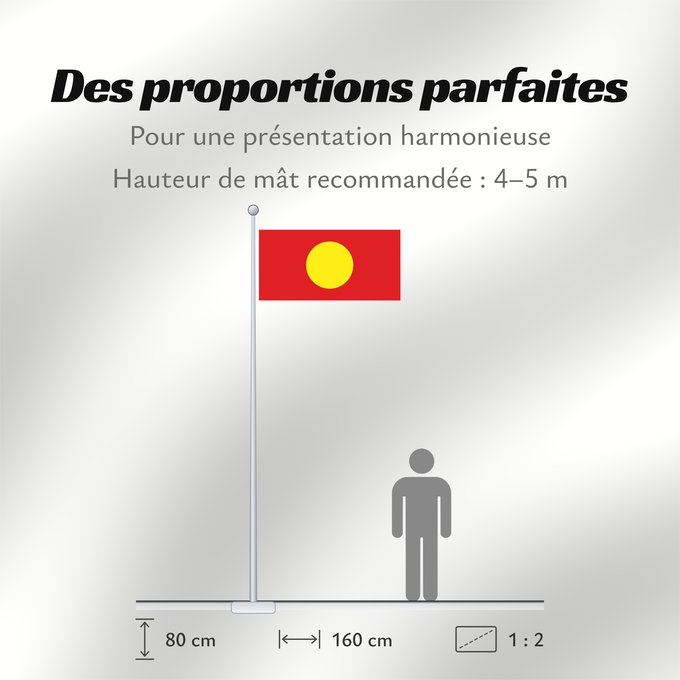 Proportions du drapeau : Proposal of Macedonia - 2	One of the four flag proposals for a new flag of Macedonia  1995	Macédoine (proposition - 2)	Macedonia (propuesta - 2)	Nordmazedonien (Entwurf - 2)	Macedonia (proposta - 2)	Едно од четирите предлог-знамиња