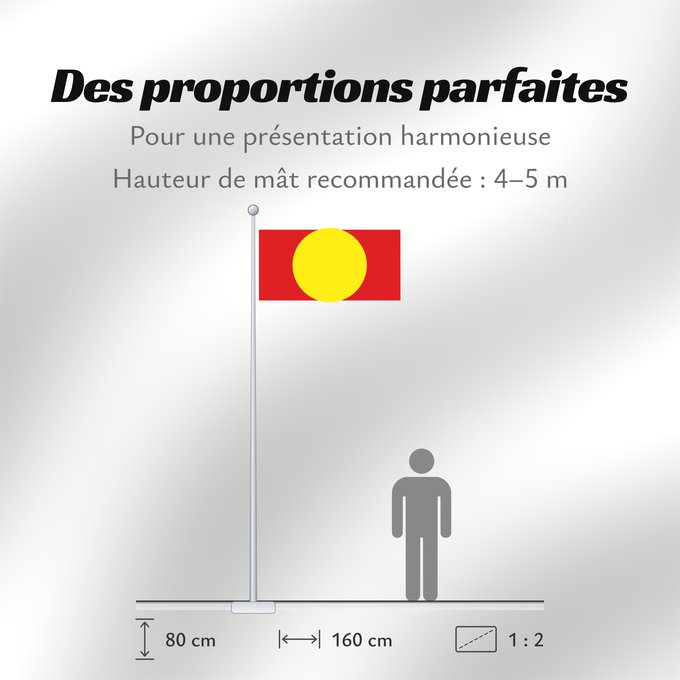 Proportions du drapeau : Proposal of Macedonia - 3	One of the four flag proposals for a new flag of Macedonia  1995	Macédoine (proposition 3) (1995)	Macedonia (propuesta 3) (1995)	Nordmazedonien (Entwurf 3) (1995)	Macedonia (proposta 3) (1995)	Едно од четирите предлог-знамиња