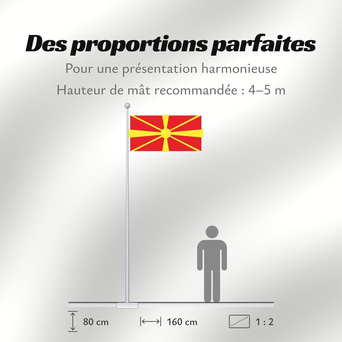 Proportions du drapeau : Proposal of Macedonia - 9	One of the first 12 flag proposals for a new flag of Macedonia  1995	Macédoine (proposition 9, 1995)	Macedonia (propuesta 9, 1995)	Nordmazedonien (Vorschlag 9, 1995)	Macedonia (proposta 9, 1995)	Едно од вкупноте 12 предлог-знамињ
