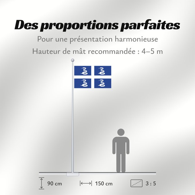 Proportions du drapeau : Martinique	Martinica