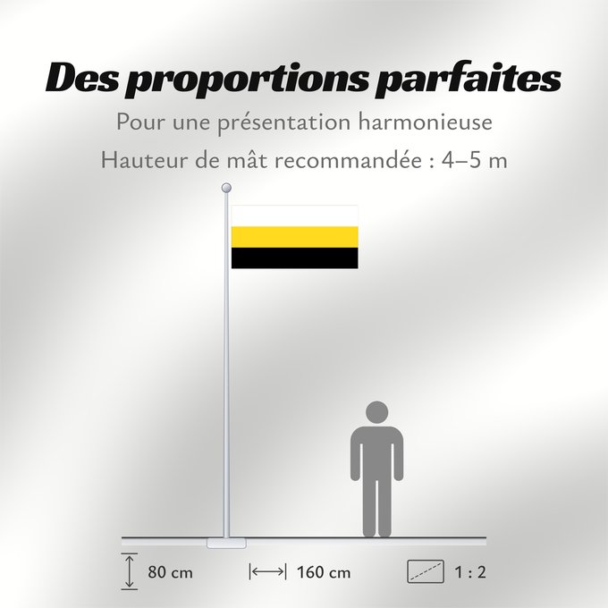 Proportions du drapeau : Perak	Malaysian state of Perak