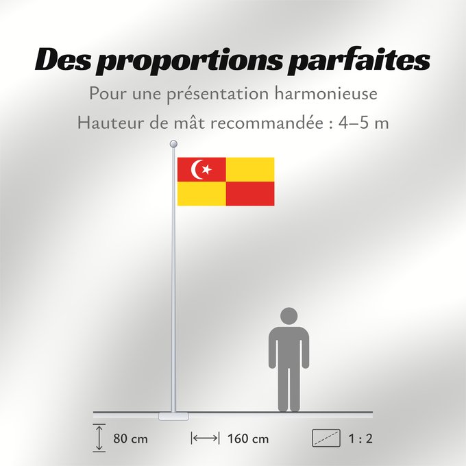 Proportions du drapeau : Selangor Selangor Malaysian state Selangor