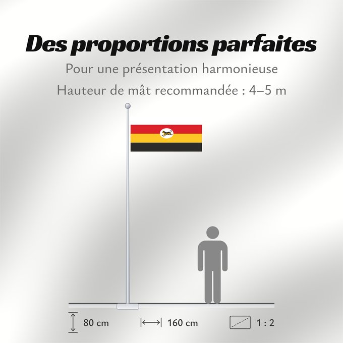 Proportions du drapeau : Federated Malay States  1895 - 1946	Federated Malay States  FMS  1895 - 1946