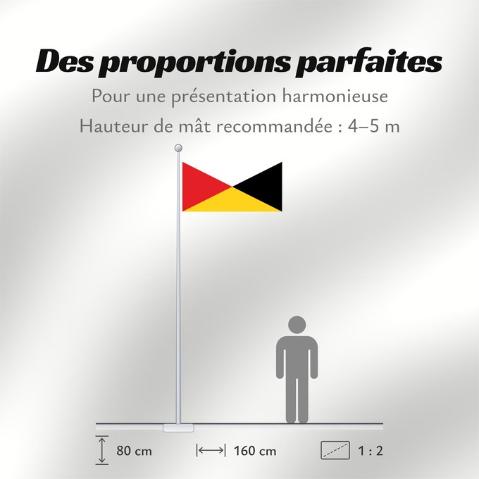 Proportions du drapeau : Naval Ensign of the Federated Malay States