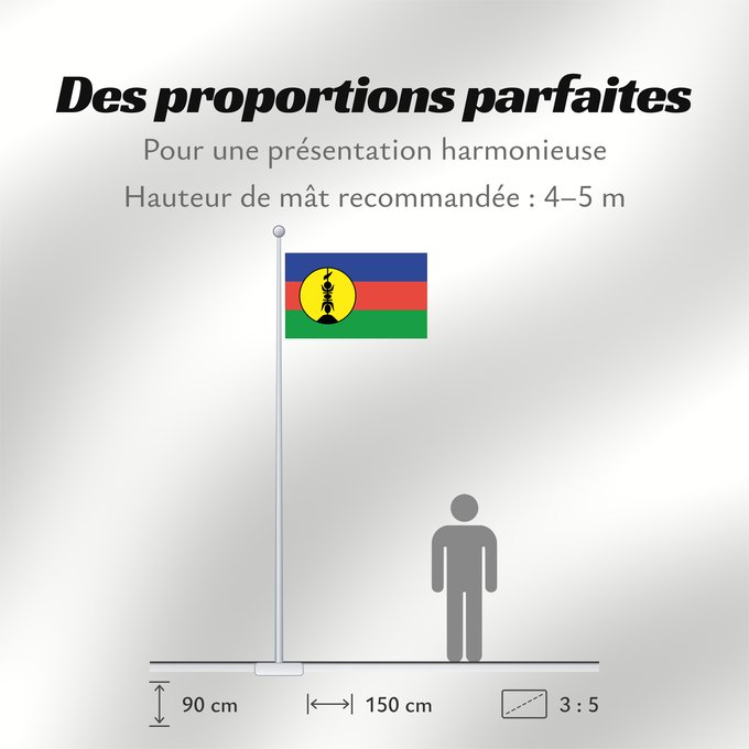 Proportions du drapeau : FLNKS	Kanak and Socialist National Liberation Front political party	Front de libération nationale kanak et socialiste	Colores Pantone http //www	Neukaledonien	Nuova Caledonia	Front d Alliberament Nacional Canac Socialista