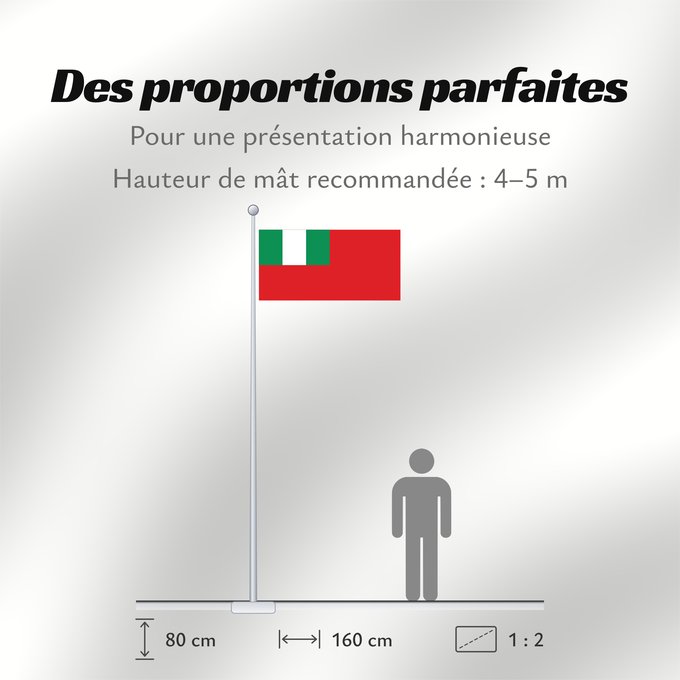 Proportions du drapeau : Civil Ensign of Nigeria Nigeria - Civil Ensign Nigeria - Pavillon Civil Nigeria - Bandera de Marina Civil Nigeria - Zivilschiffsflagge Nigeria - Insegna Civile Civil ensign of Nigeria