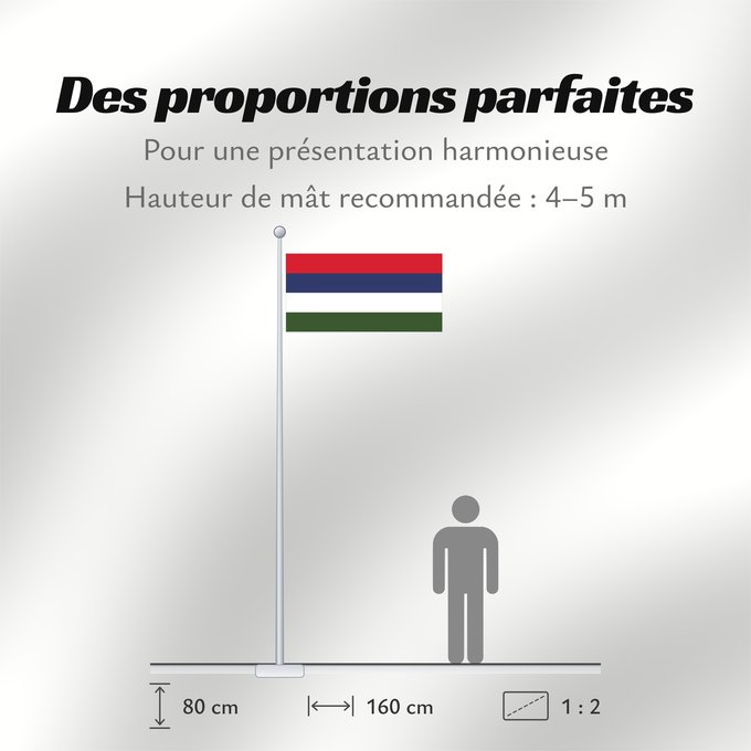 Proportions du drapeau : Presidential Standard of Nigeria Armed Forces Presidential Standard of Nigeria (Armed Forces) Étendard Présidentiel du Nigéria (Forces Armées) Estandarte Presidencial de Nigeria (Fuerzas Armadas) Präsidentenstandarte von Nigeria (Streitkräfte) Stendardo