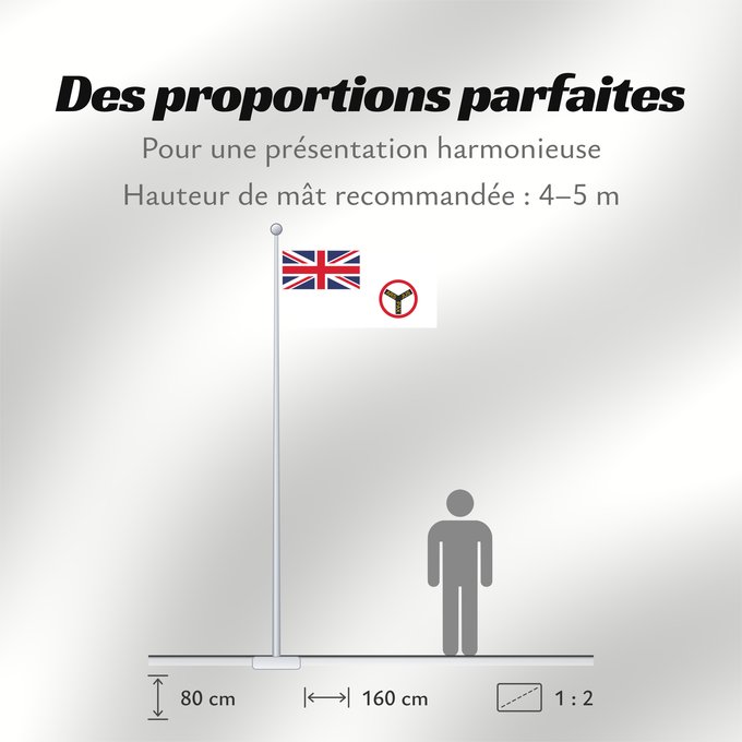 Proportions du drapeau : Royal Niger Company