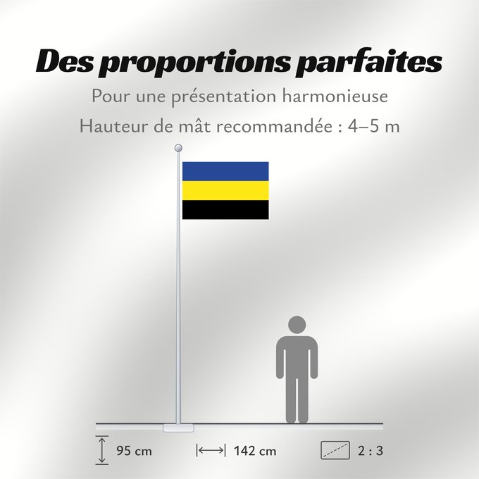 Proportions du drapeau : Gelderland	Province of Gelderland in the Netherlands	Güeldres	Gelderland 