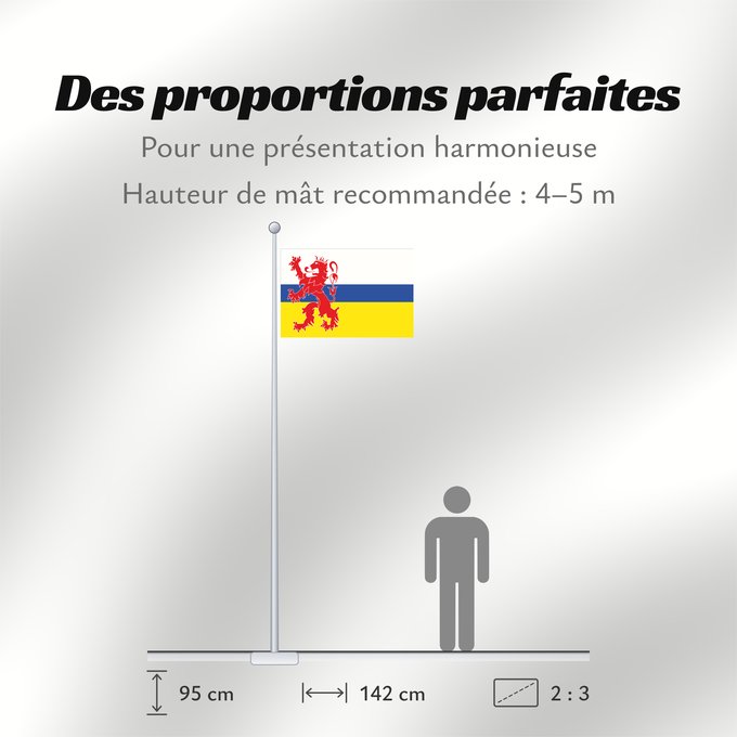 Proportions du drapeau : Limburg  Netherlands	Dutch province Limburg	Limbourg	Limburgo	Limburg	Nederlandse province Limburg