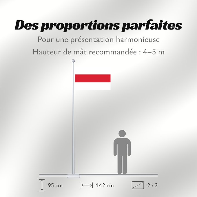 Proportions du drapeau : Brielle	Dutch city of Brielle