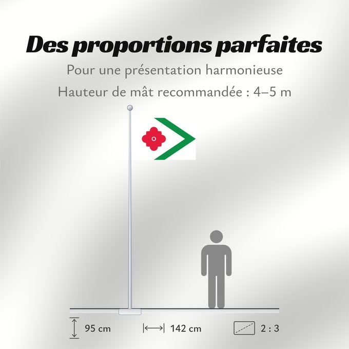 Proportions du drapeau : Landerd	Dutch municipality of Landerd