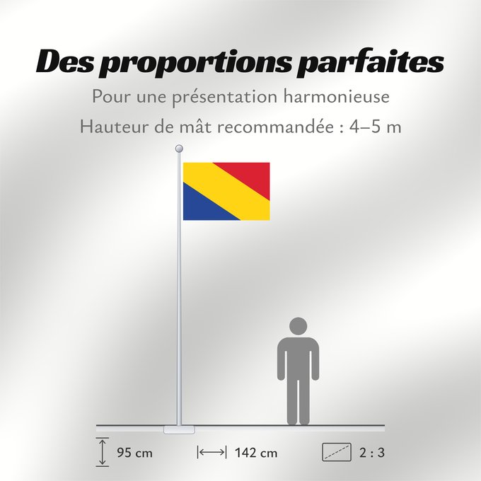 Proportions du drapeau : Rheden Dutch municipality of Rheden