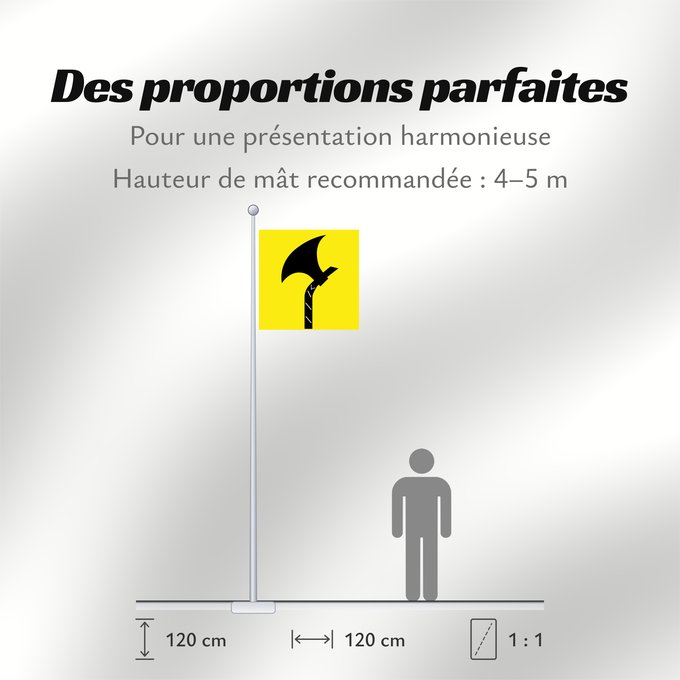 Proportions du drapeau : Telemark